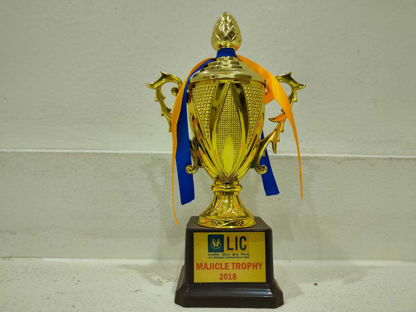 Majicle Trophy 2018